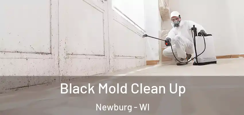  Black Mold Clean Up Newburg - WI