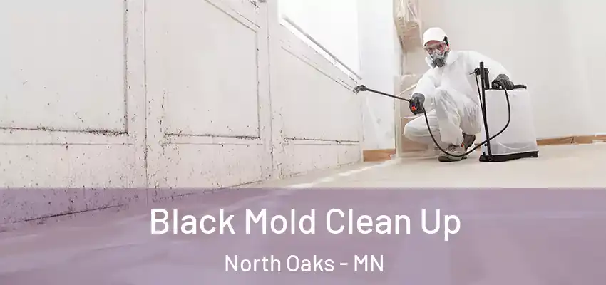  Black Mold Clean Up North Oaks - MN