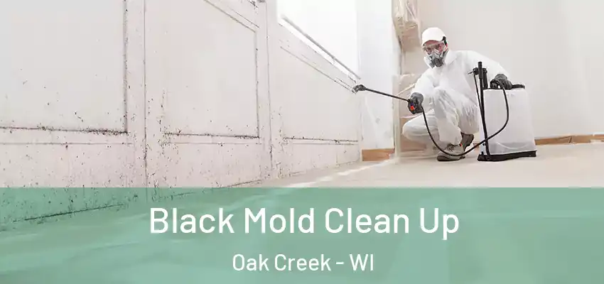  Black Mold Clean Up Oak Creek - WI