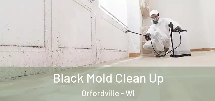  Black Mold Clean Up Orfordville - WI