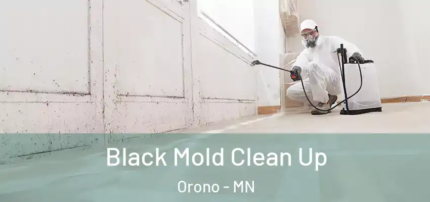  Black Mold Clean Up Orono - MN