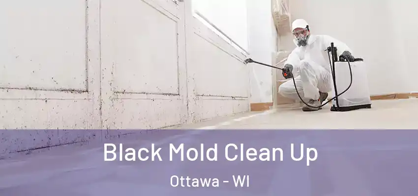  Black Mold Clean Up Ottawa - WI