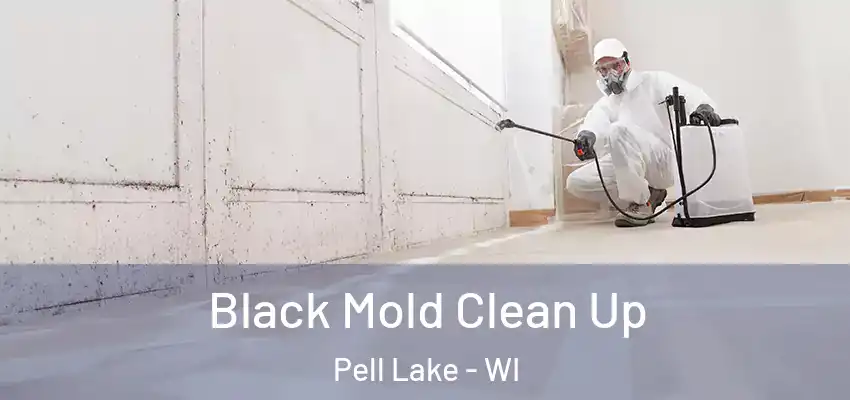  Black Mold Clean Up Pell Lake - WI
