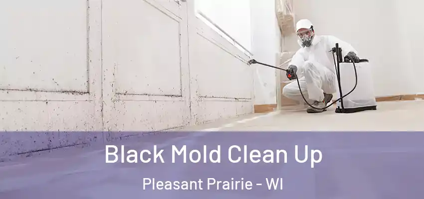  Black Mold Clean Up Pleasant Prairie - WI