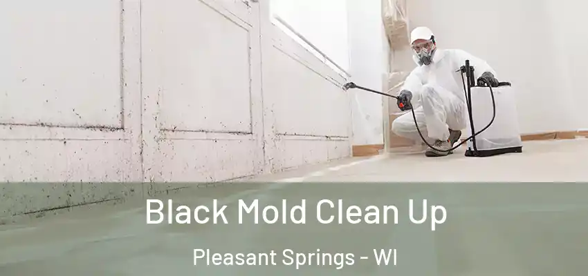  Black Mold Clean Up Pleasant Springs - WI