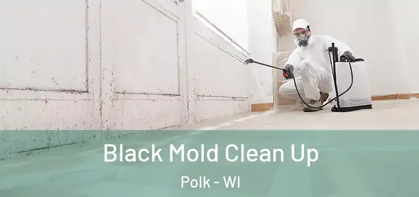  Black Mold Clean Up Polk - WI