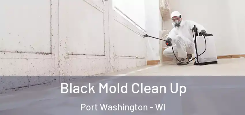  Black Mold Clean Up Port Washington - WI