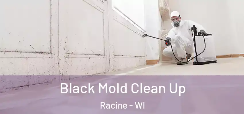  Black Mold Clean Up Racine - WI