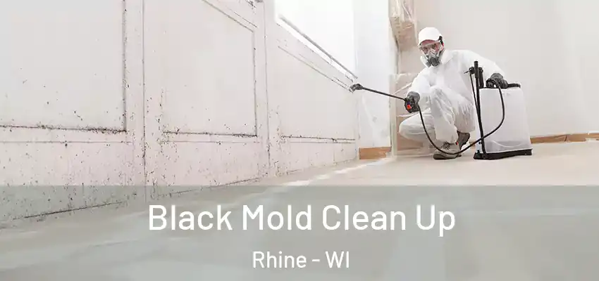  Black Mold Clean Up Rhine - WI