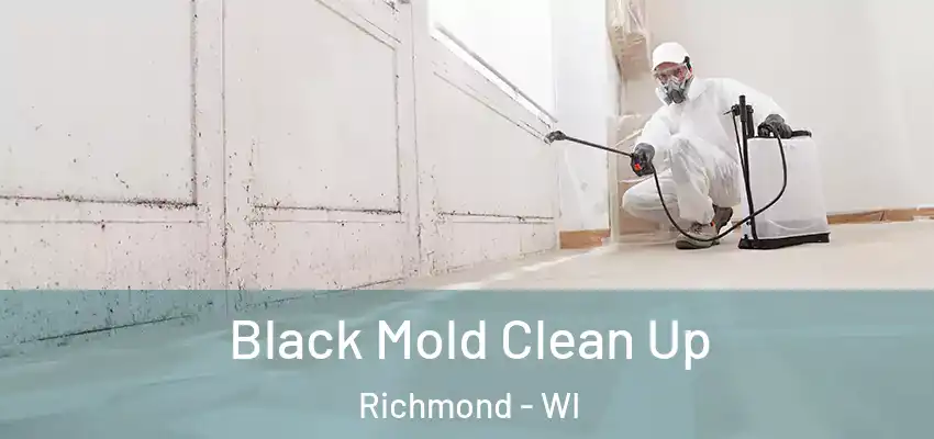  Black Mold Clean Up Richmond - WI