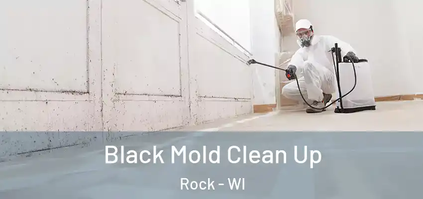  Black Mold Clean Up Rock - WI