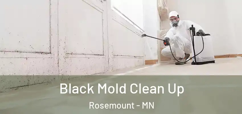  Black Mold Clean Up Rosemount - MN