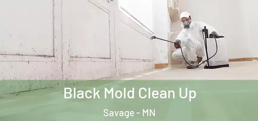  Black Mold Clean Up Savage - MN