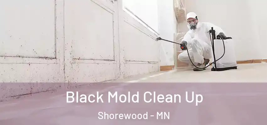  Black Mold Clean Up Shorewood - MN