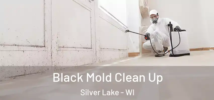  Black Mold Clean Up Silver Lake - WI