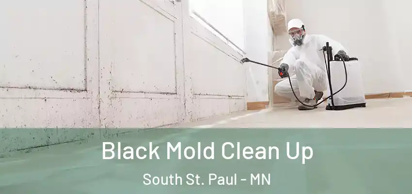  Black Mold Clean Up South St. Paul - MN