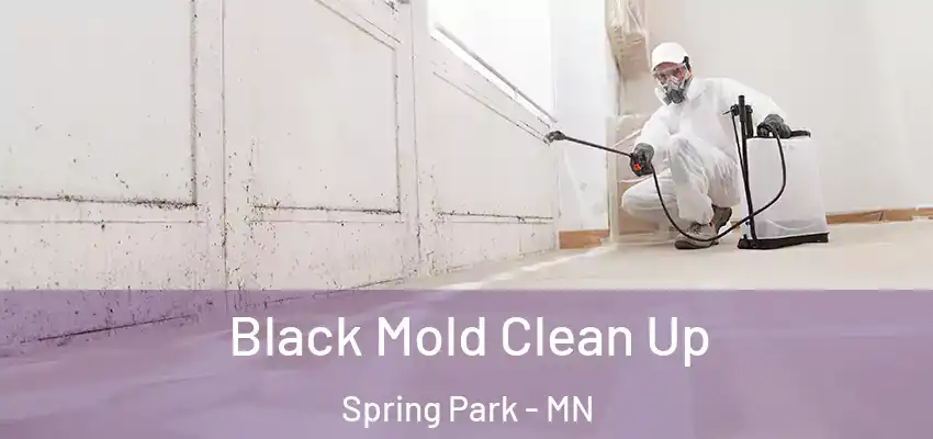  Black Mold Clean Up Spring Park - MN