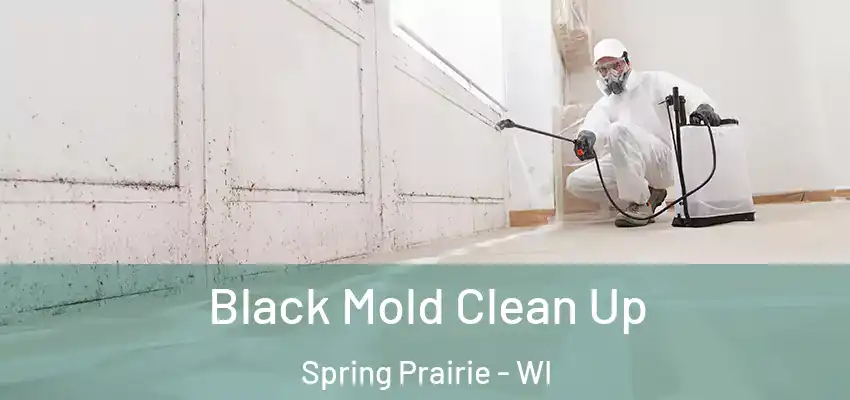  Black Mold Clean Up Spring Prairie - WI