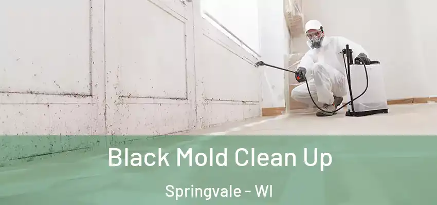 Black Mold Clean Up Springvale - WI