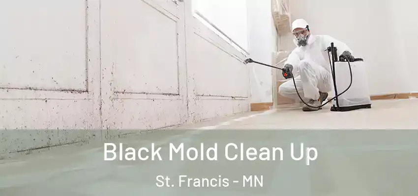  Black Mold Clean Up St. Francis - MN