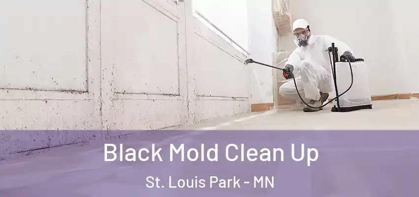 Black Mold Clean Up St. Louis Park - MN