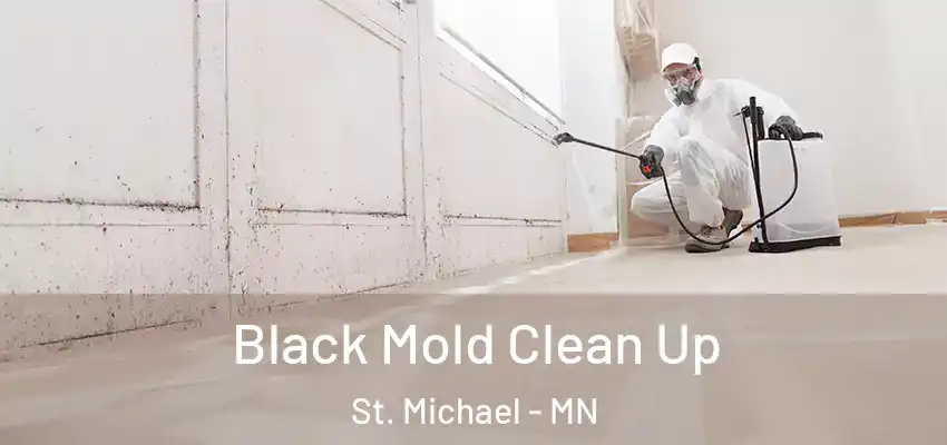  Black Mold Clean Up St. Michael - MN