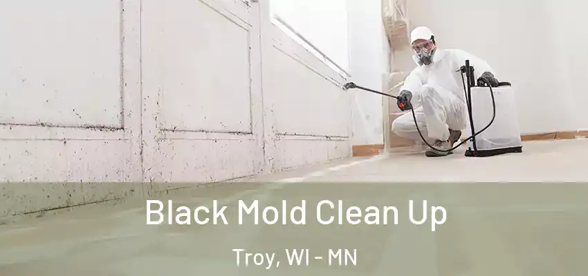  Black Mold Clean Up Troy, WI - MN