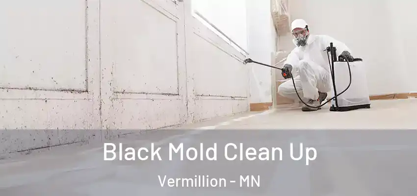  Black Mold Clean Up Vermillion - MN