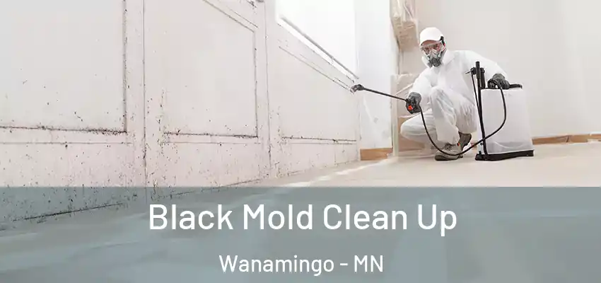  Black Mold Clean Up Wanamingo - MN