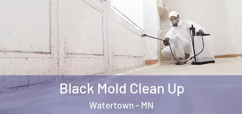  Black Mold Clean Up Watertown - MN