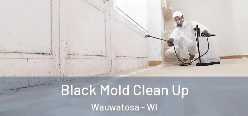  Black Mold Clean Up Wauwatosa - WI
