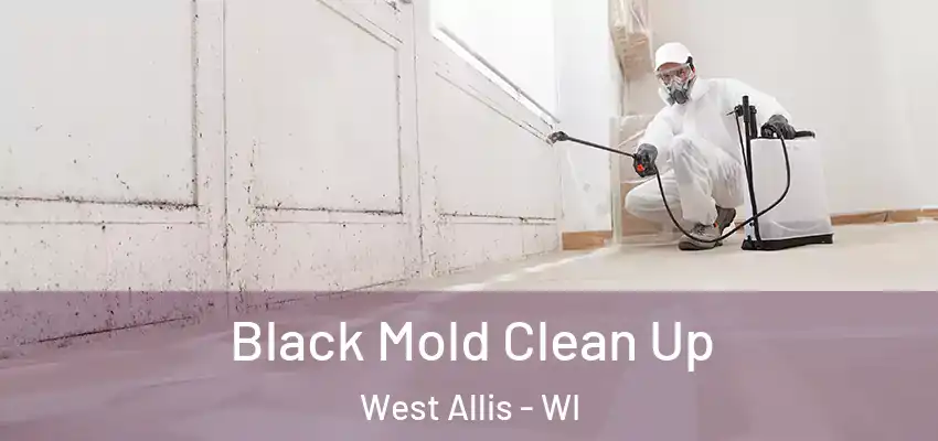  Black Mold Clean Up West Allis - WI