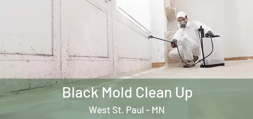  Black Mold Clean Up West St. Paul - MN