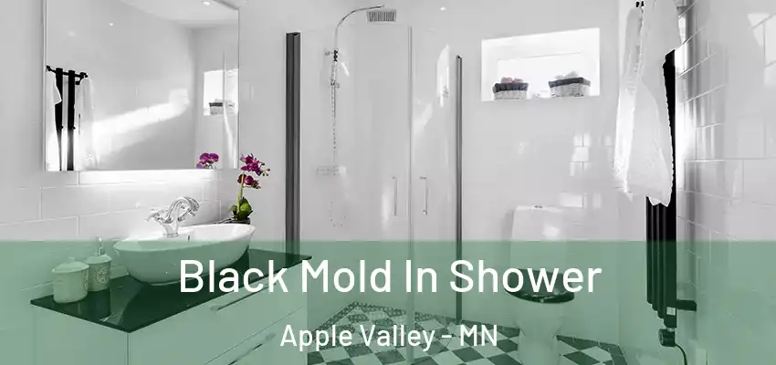 Black Mold In Shower Apple Valley - MN