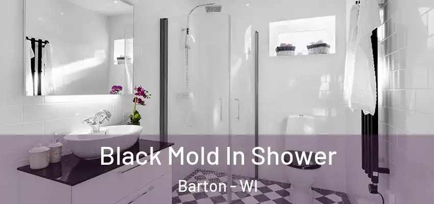  Black Mold In Shower Barton - WI