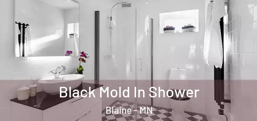 Black Mold In Shower Blaine - MN