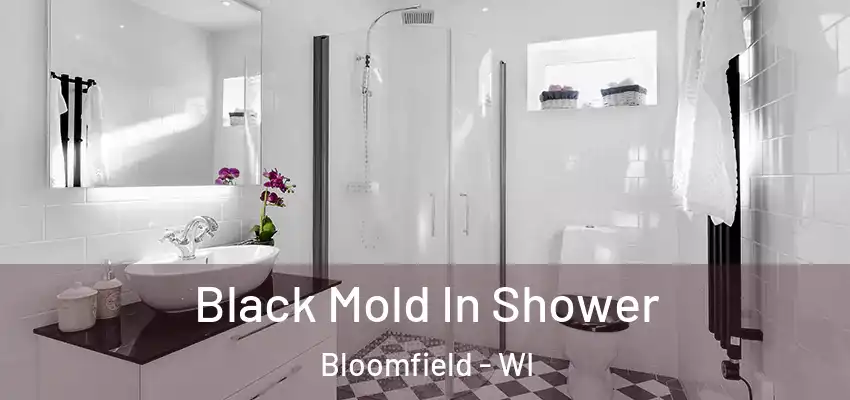  Black Mold In Shower Bloomfield - WI