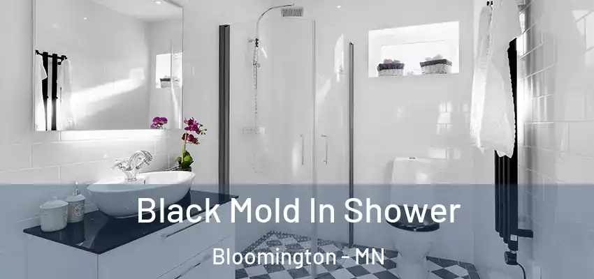  Black Mold In Shower Bloomington - MN