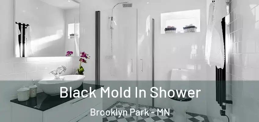  Black Mold In Shower Brooklyn Park - MN