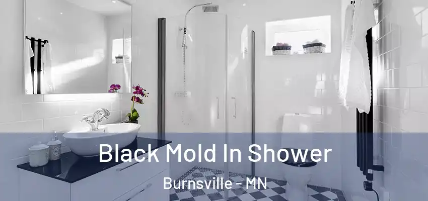  Black Mold In Shower Burnsville - MN
