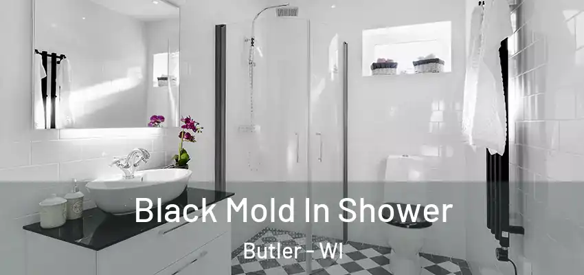  Black Mold In Shower Butler - WI