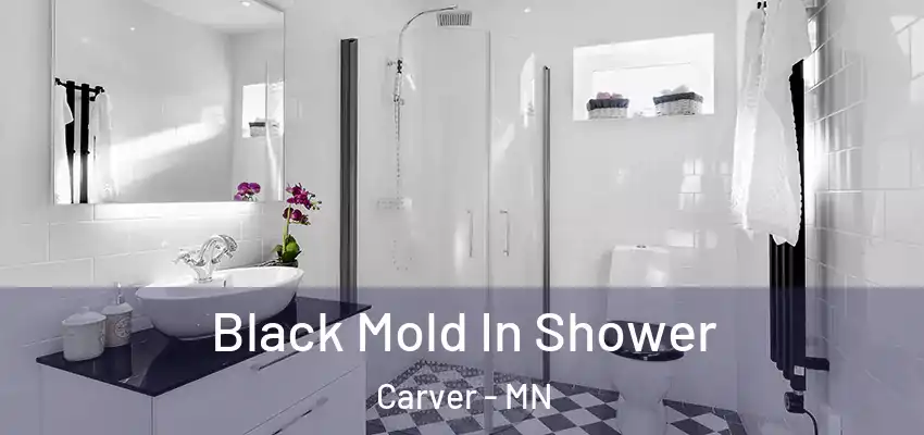Black Mold In Shower Carver - MN