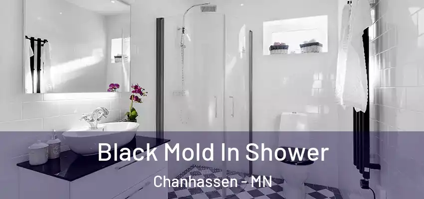  Black Mold In Shower Chanhassen - MN