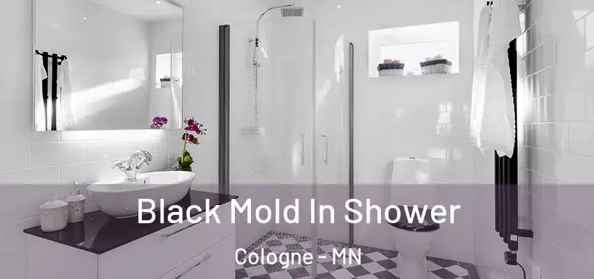  Black Mold In Shower Cologne - MN