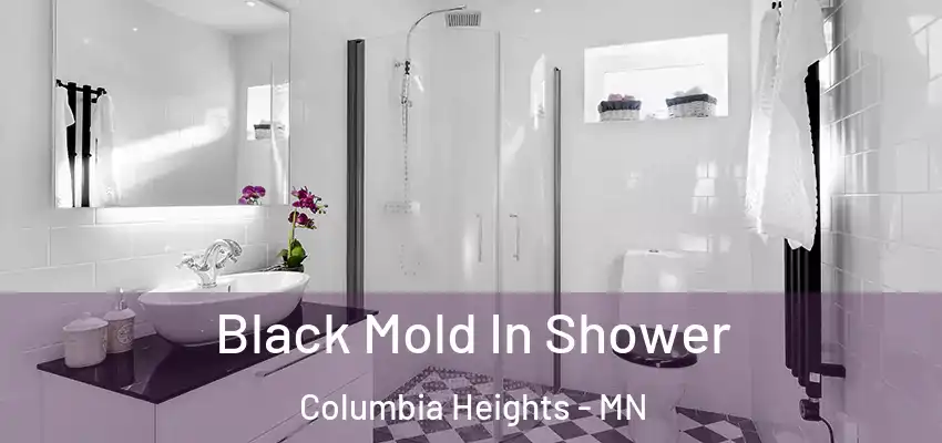  Black Mold In Shower Columbia Heights - MN