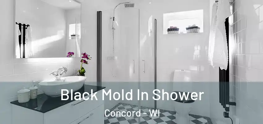 Black Mold In Shower Concord - WI