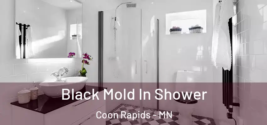 Black Mold In Shower Coon Rapids - MN