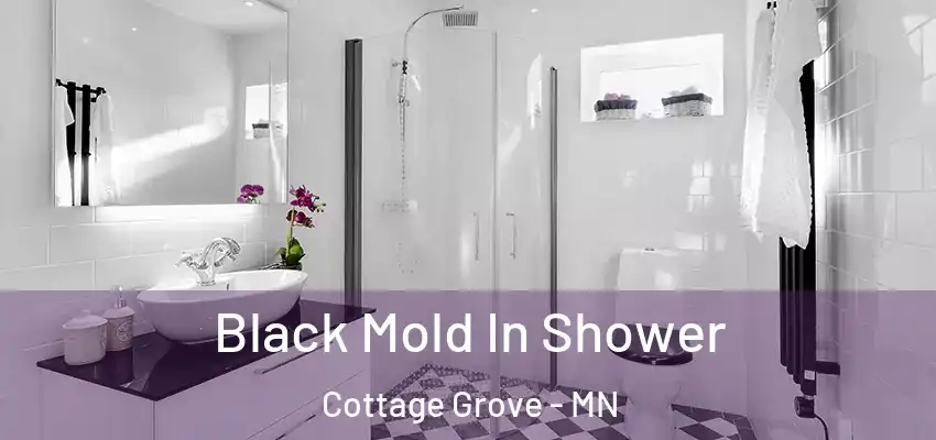 Black Mold In Shower Cottage Grove - MN