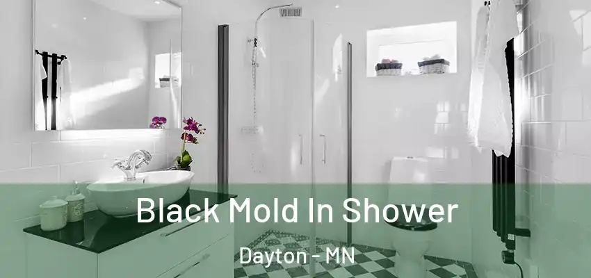 Black Mold In Shower Dayton - MN