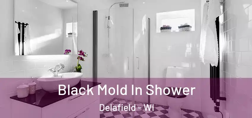 Black Mold In Shower Delafield - WI